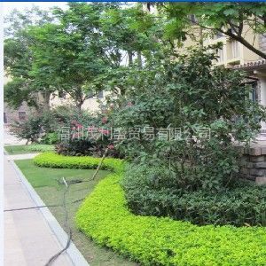 福州園林綠化 設(shè)計、施工與工程實例全覽