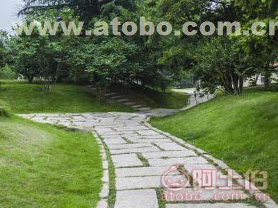 優(yōu)質(zhì)景觀園林綠化工程施工公司探尋指南