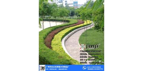 花都區校園園林綠化施工 建基水泥鑄就安全高效的綠色工程