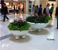 中山全方位綠化與植物租賃服務指南 從風水綠植到園林工程，打造高性價比綠色空間